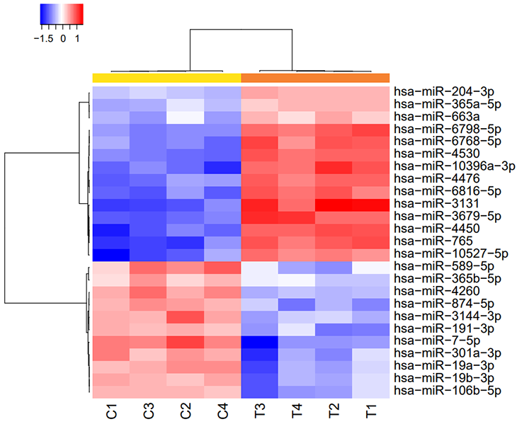 図3b：2555種類のmicroRNAのクラスター解析